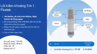 Lõi kiềm khoáng 5 in 1 Fluxtek